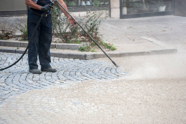 Best Animal Enclosure Cleaning  in Kaibab Estates West, AZ